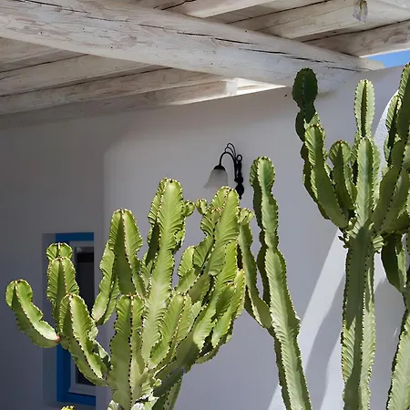 Anamar Destino Mykonos (adults Only) 5* Agios Stefanos (Mykonos)